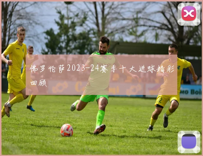 佛罗伦萨2023-24赛季十大进球精彩回顾