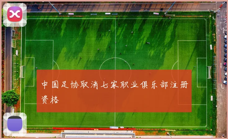 中国足协取消七家职业俱乐部注册资格